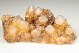 Sunshine Cactus Quartz Crystal Cluster - South Africa #191802-1